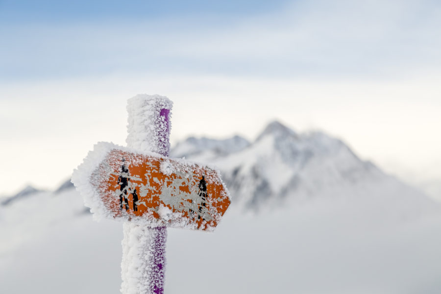 Snowshoe tip Aletschwald – quiet happiness found