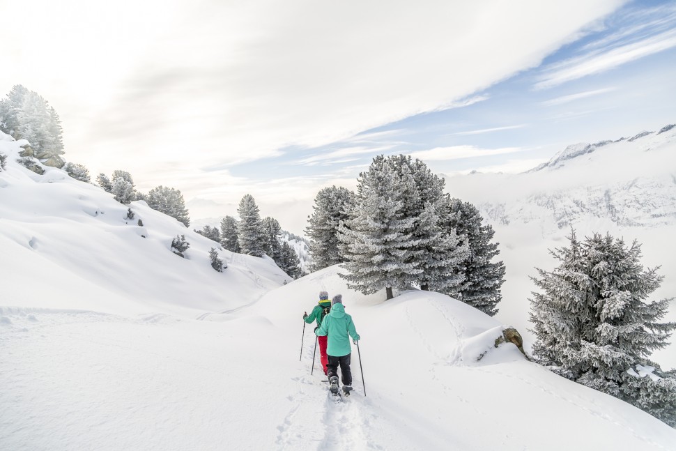 Schneeschuhtour-Aletschwald