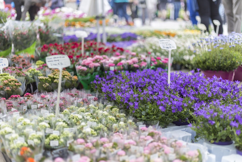 Ghent-Blumenmarkt-Kouter-7