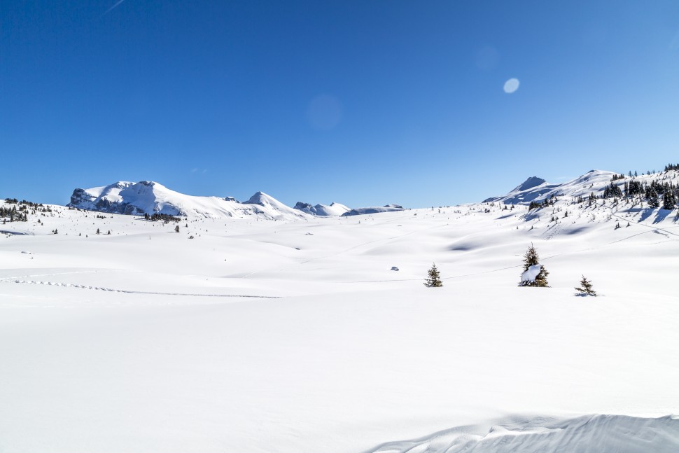 Sunshine-Village-Backcountry