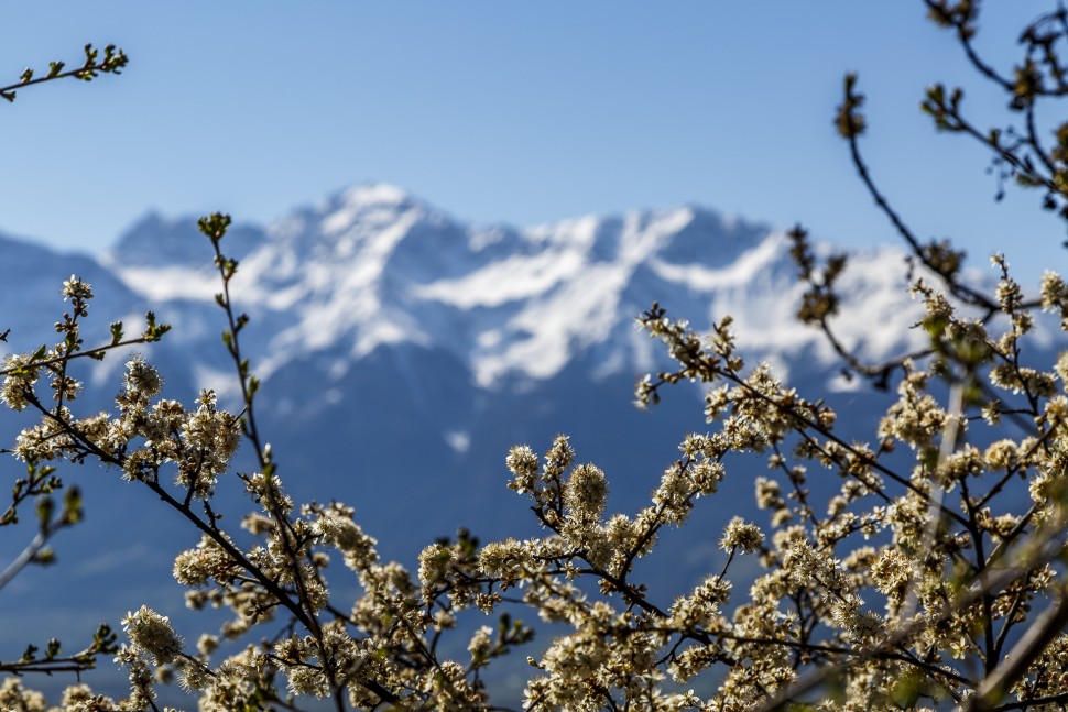 Mals-Frühling