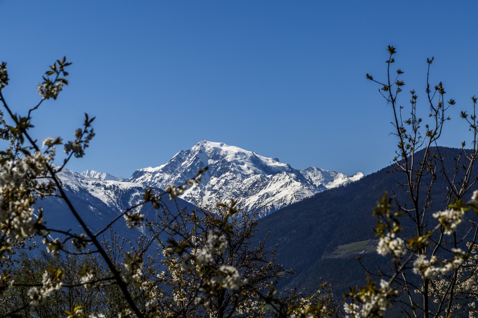 Ortler-Vinschgau