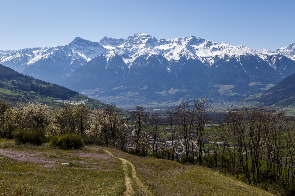 Vinschgau-Panorama