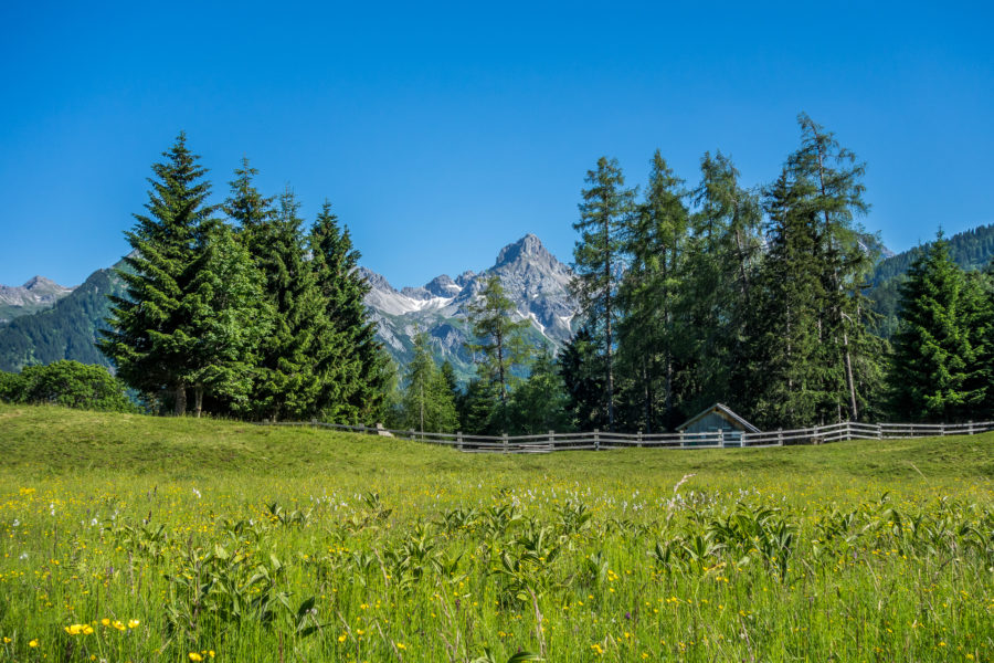 Where does the weather come from? – Educational information from the Brandnertal