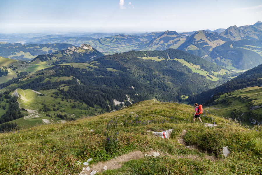 Toggenburger Höhenweg – 3-day hike