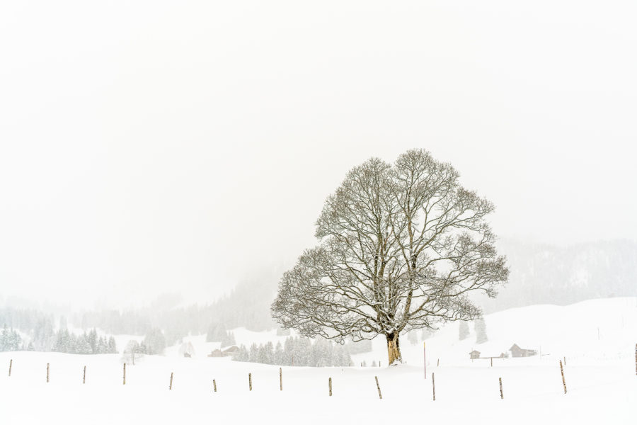 Tested for you: the pitfalls of winter hiking in Dallenwil