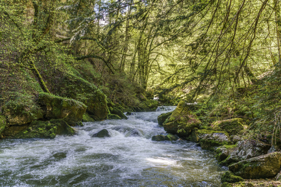 Areuse Gorge – hike in the Jura