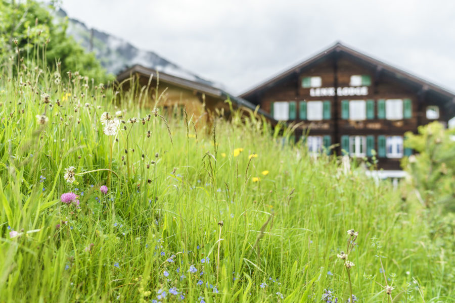Casual, more casual, Lenk Lodge!