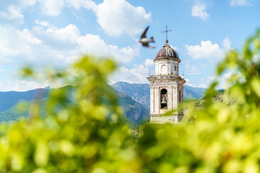 Love Affair Argentina Valley