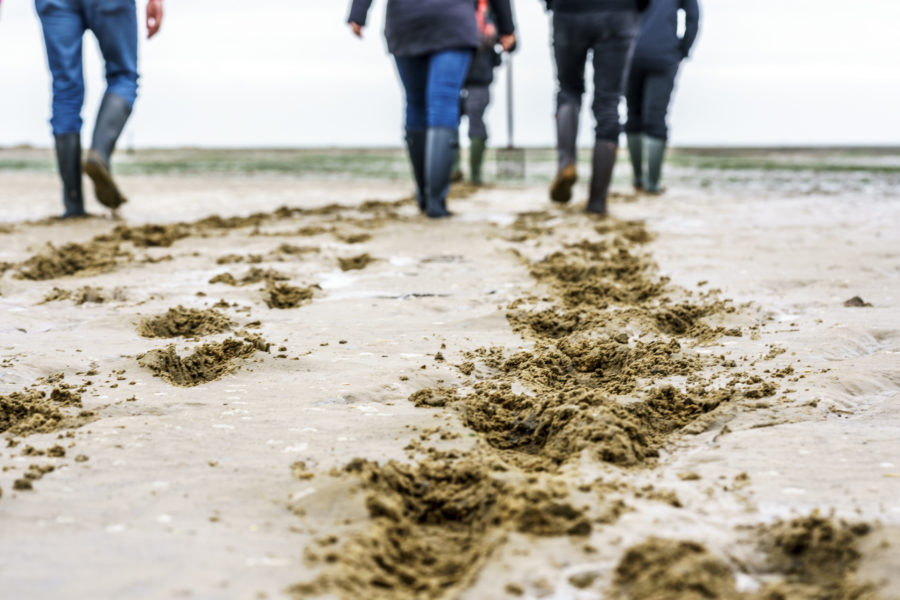 Spiekeroog: Time out on the East Frisian Islands