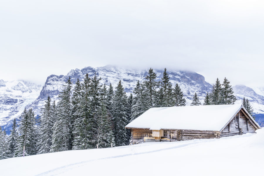 Holiday apartments in Grindelwald? – our conclusion