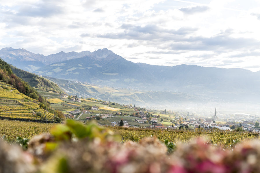 South Tyrol for connoisseurs: From Plars Castle to Lake Kaltern