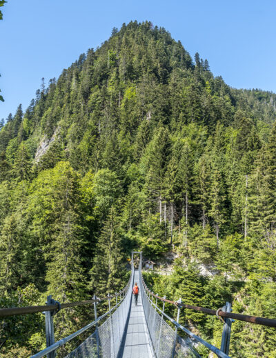 Hängebrücke Leiternweide Simmental