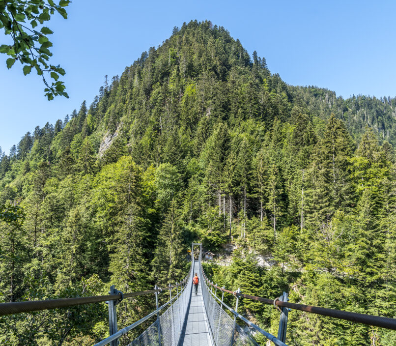 Hängebrücke Leiternweide Simmental