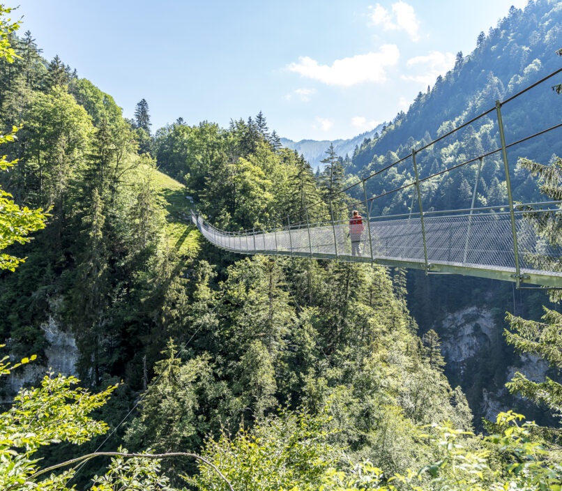 Simmental Hängebrücke Leiternweide