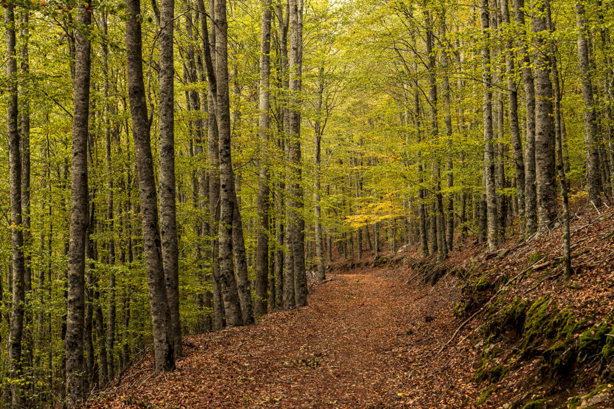 Serra da Estrela Naturpark