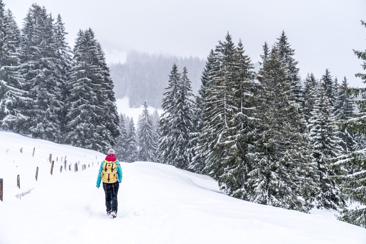 Winterwandern im Allgaeu