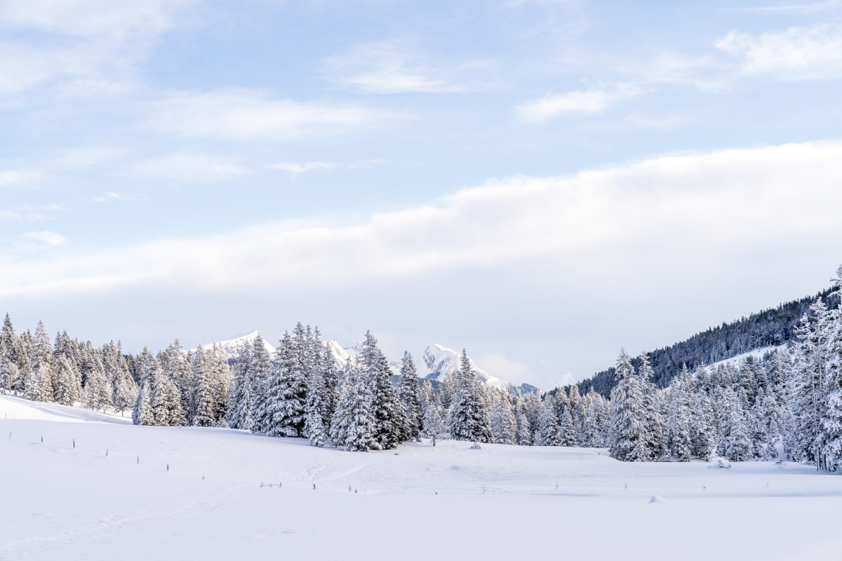 Winterlandschaft Langis-Glaubenberg