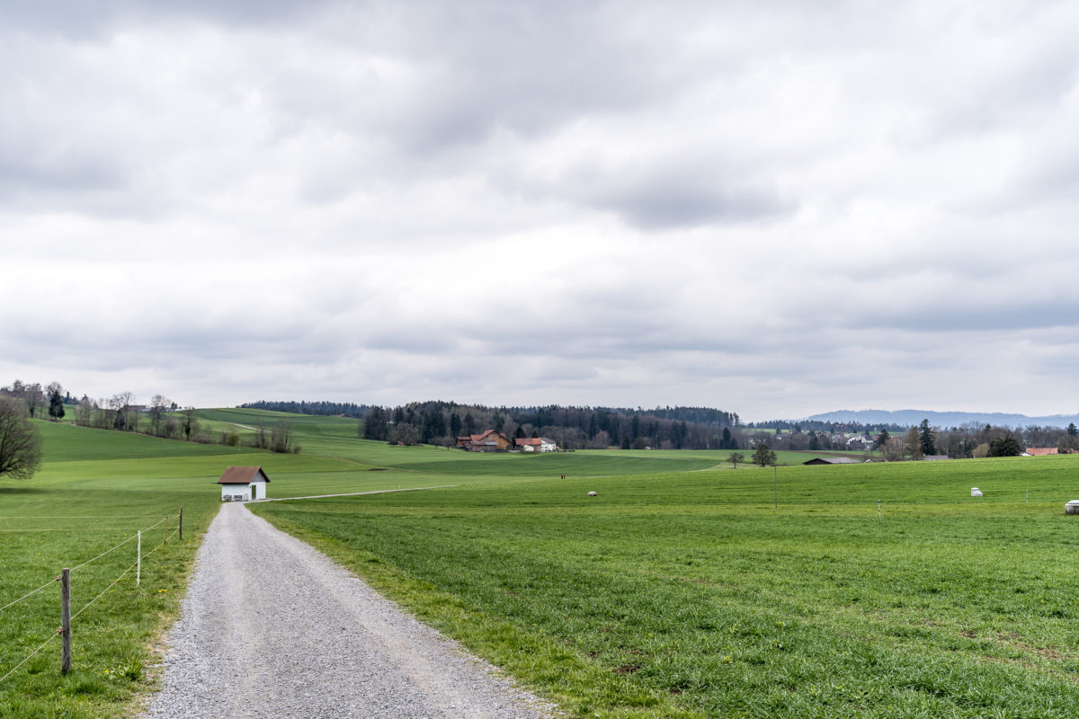 Forch Zürich Wanderung