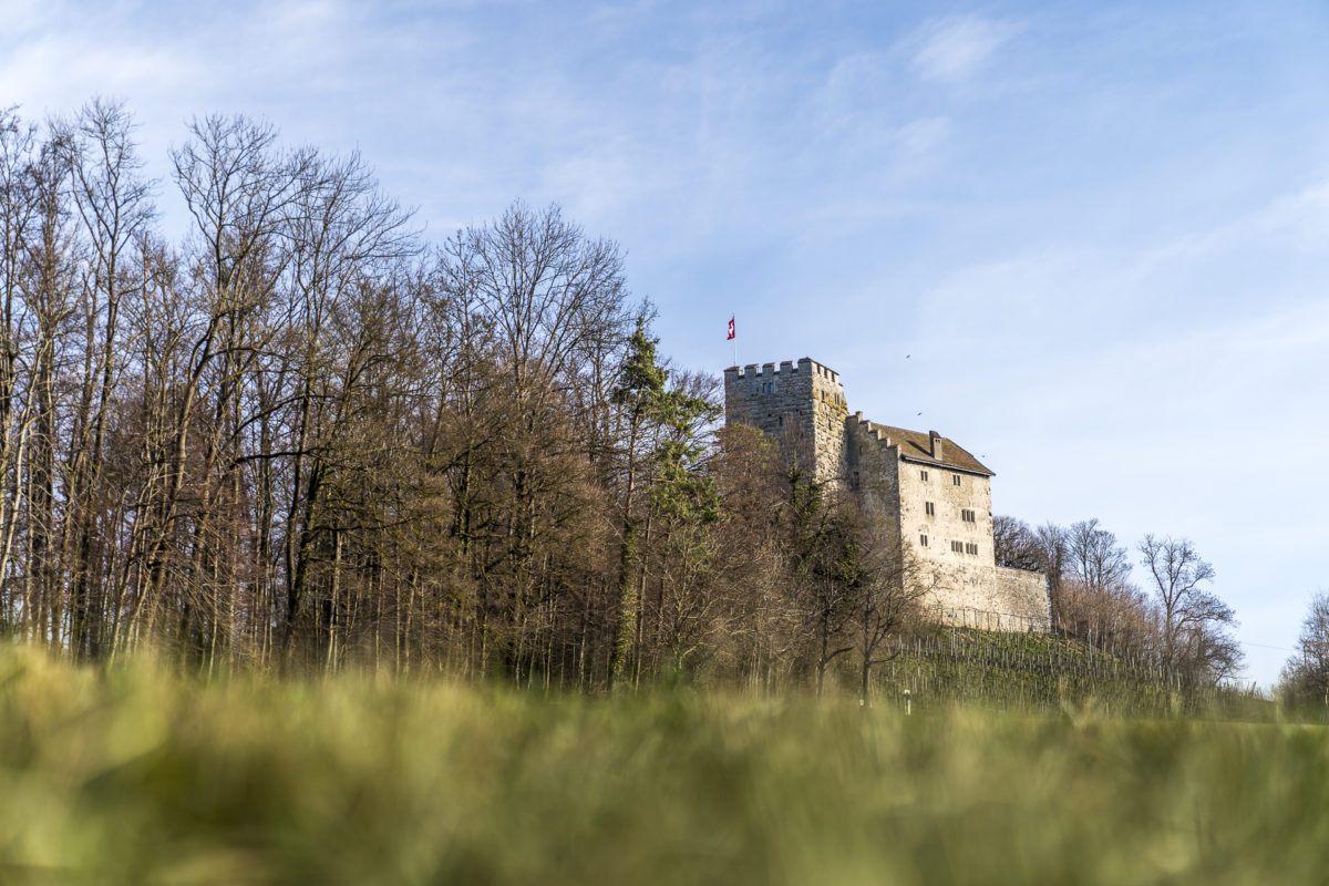 Habsburg excursion destination in Aargau