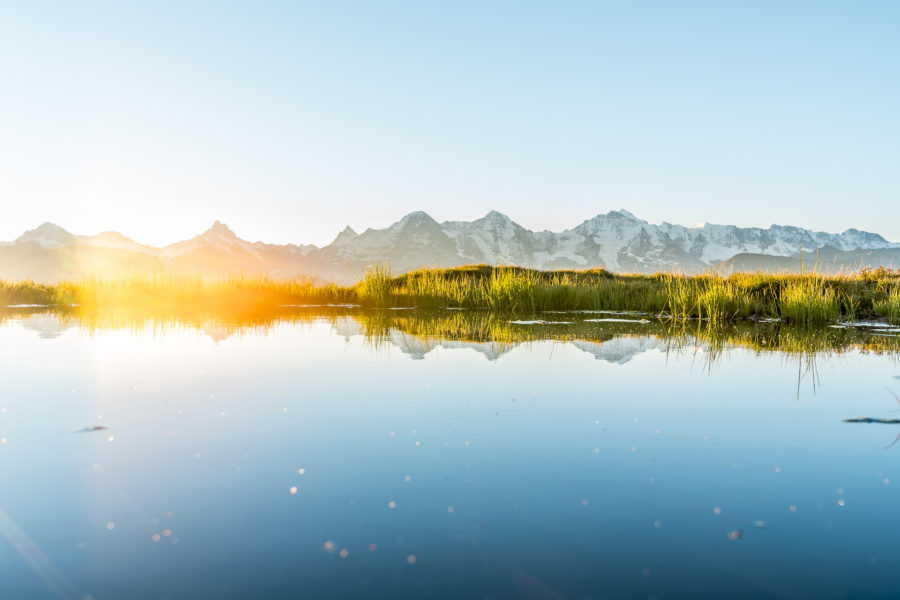 Niederhorn Morgenstimmung