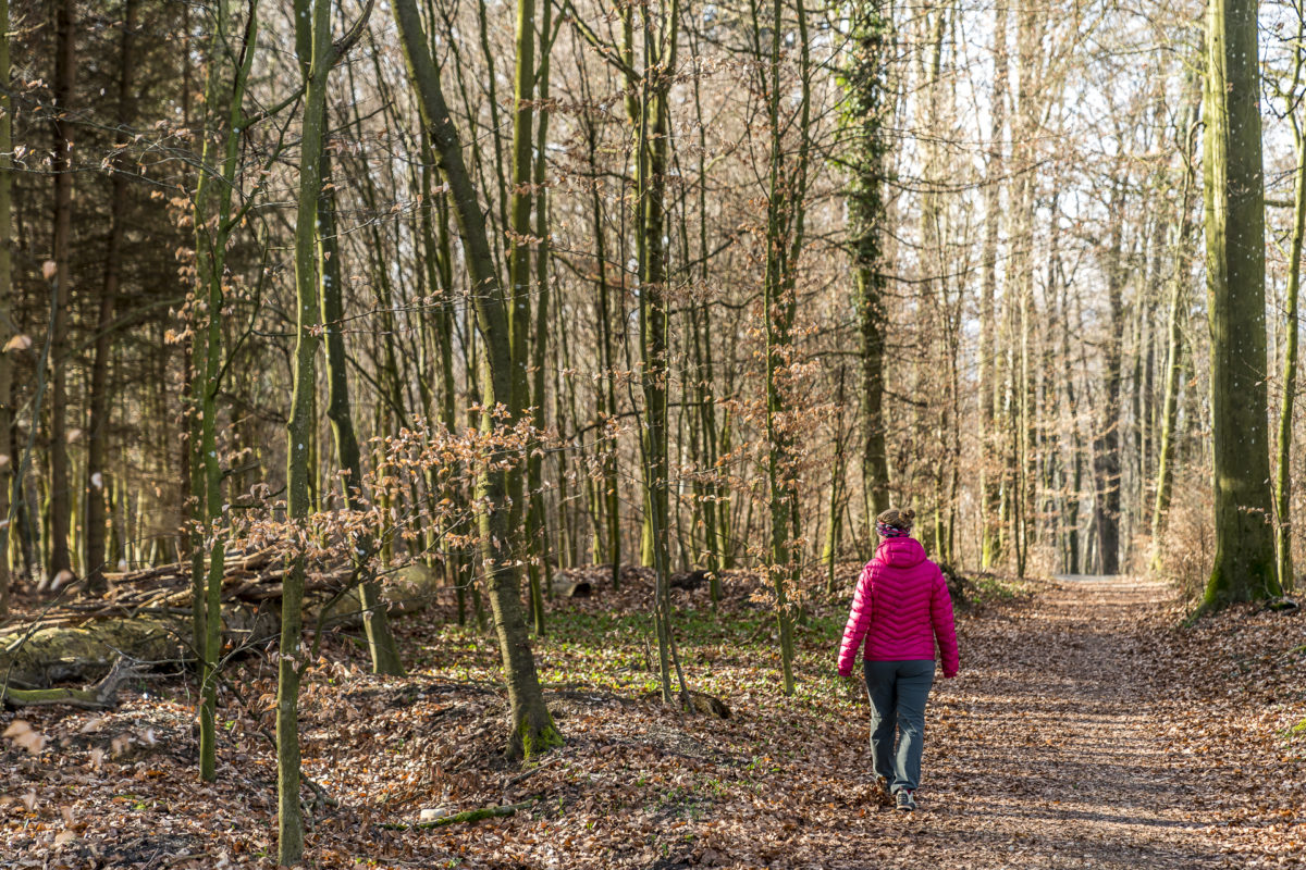 Wanderung Aargauer Weg