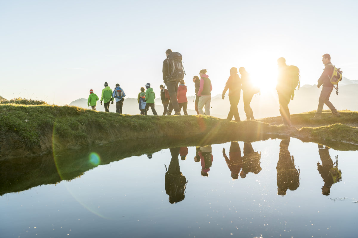 Niederhorn Wildlife Observation Excursion