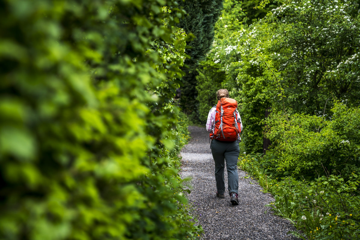 Cholerenschlucht Wanderung