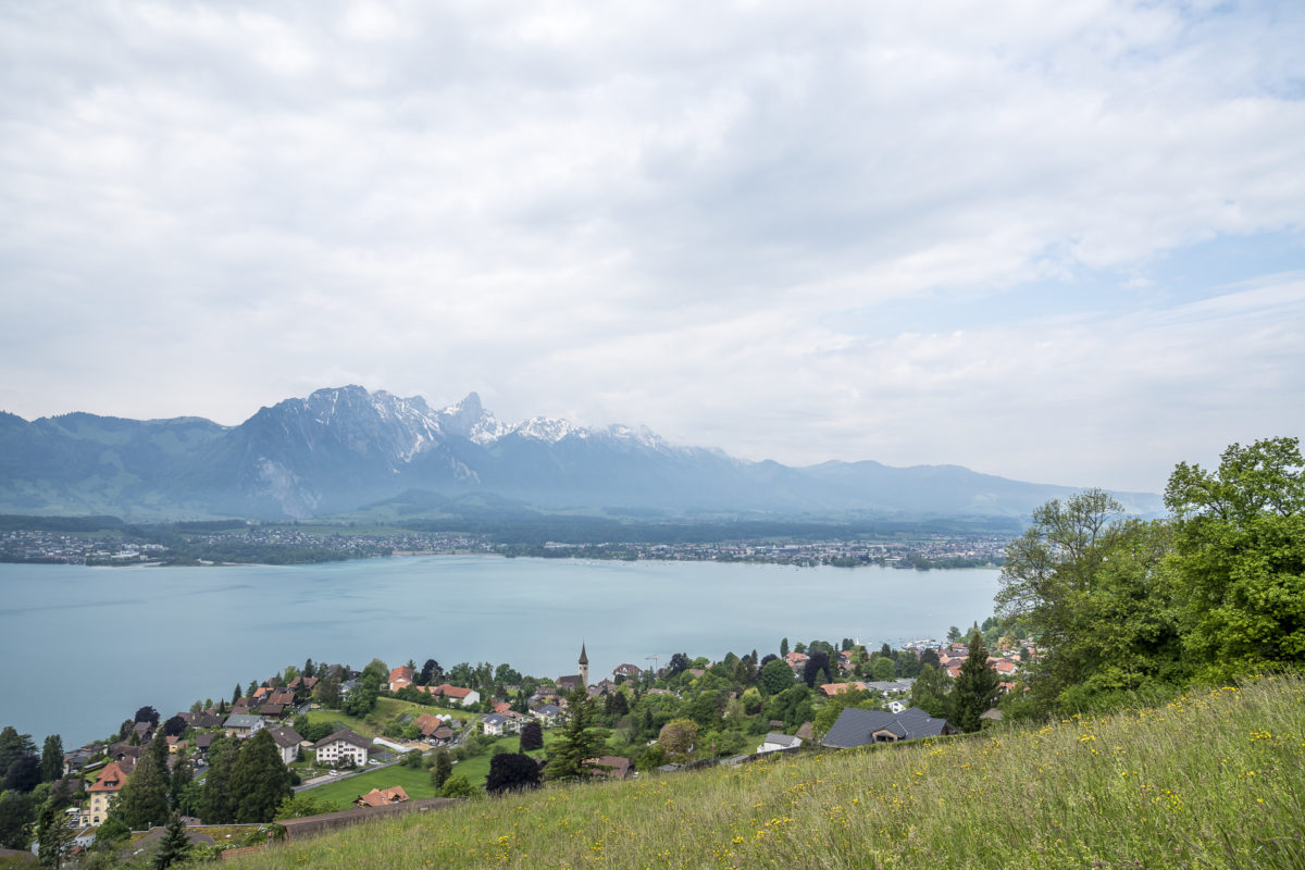 Thunersee Panorama