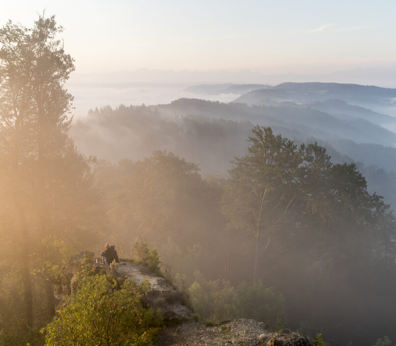 Felsen Sonnenaufgang Uetliberg