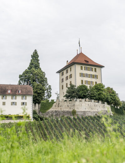 Schloss Heidegg Gelfingen
