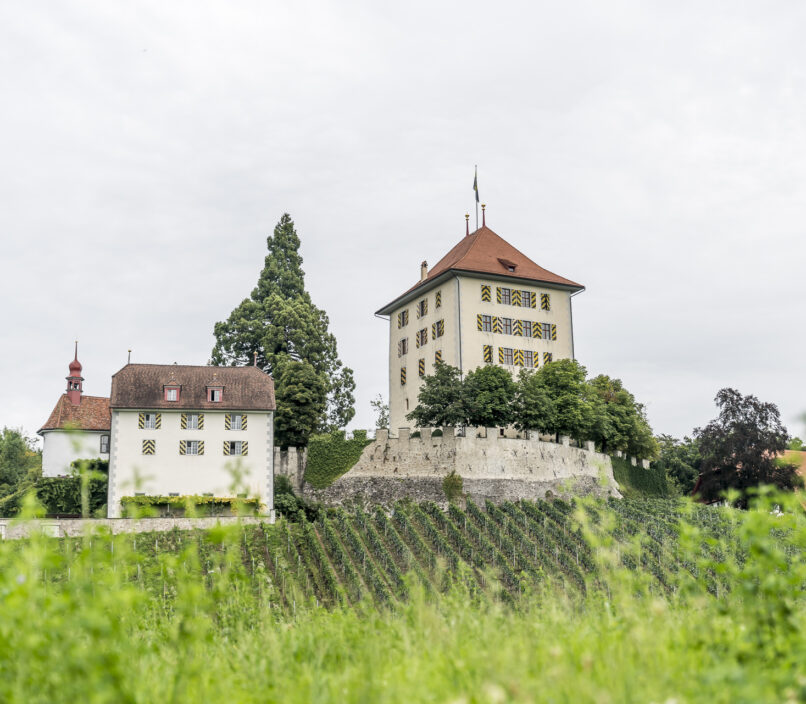 Schloss Heidegg Gelfingen