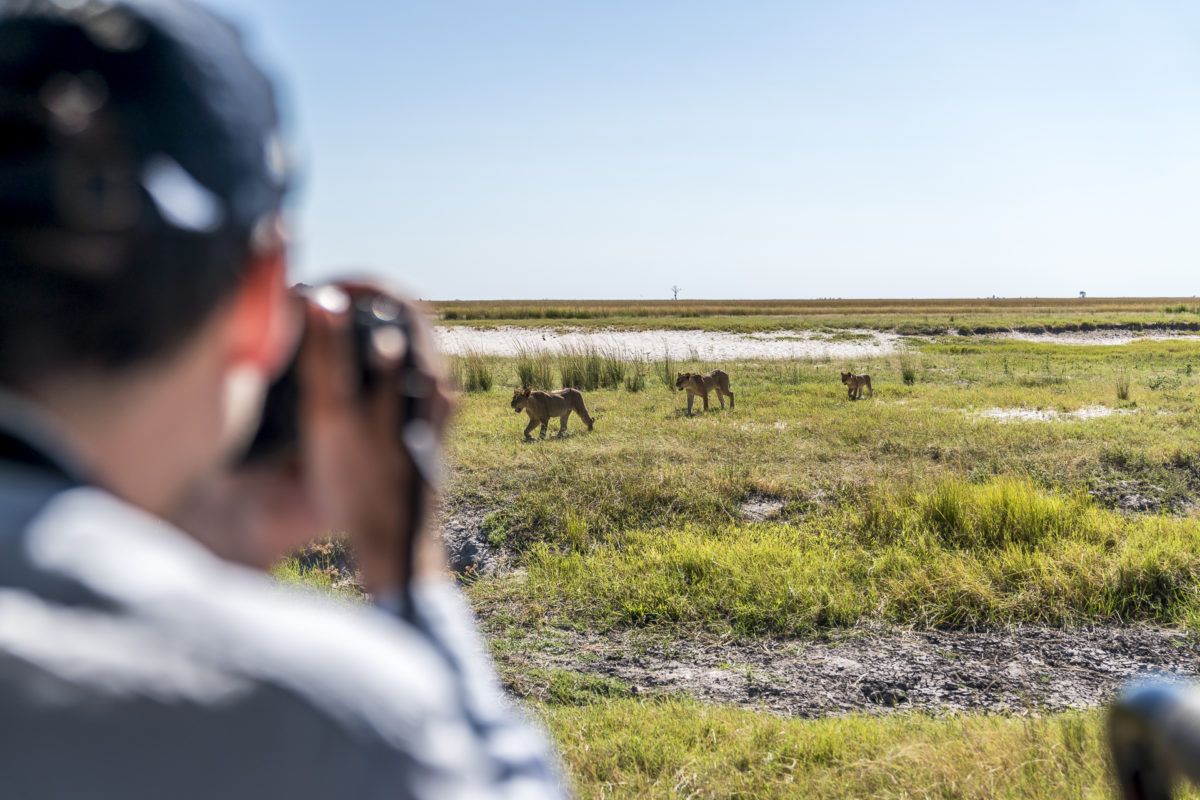 Chobe Nationalpark Fotosafari