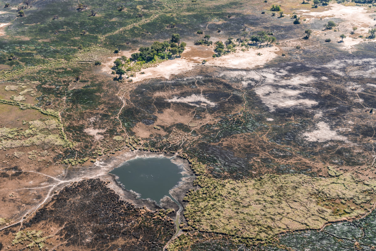 Okavango Delta Buschbrände