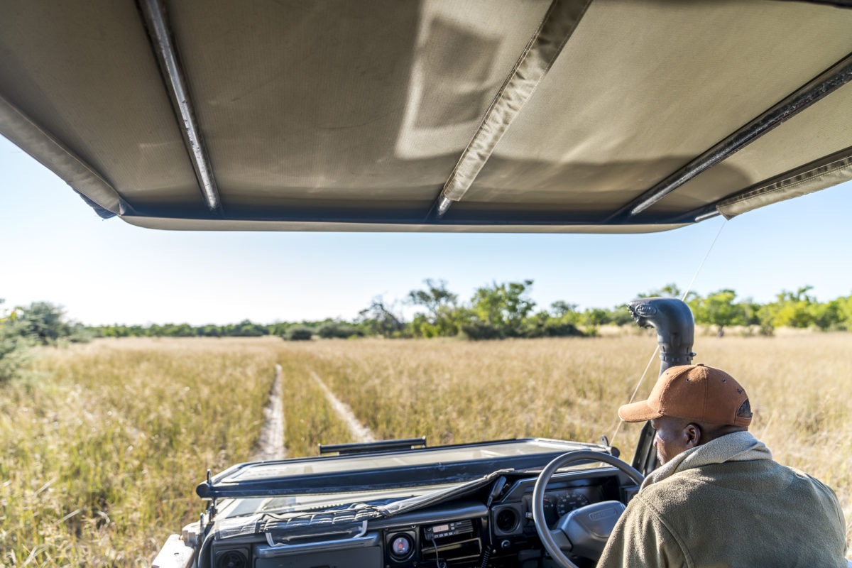 Botswana Safari Pirschfahrt Okavango Delta