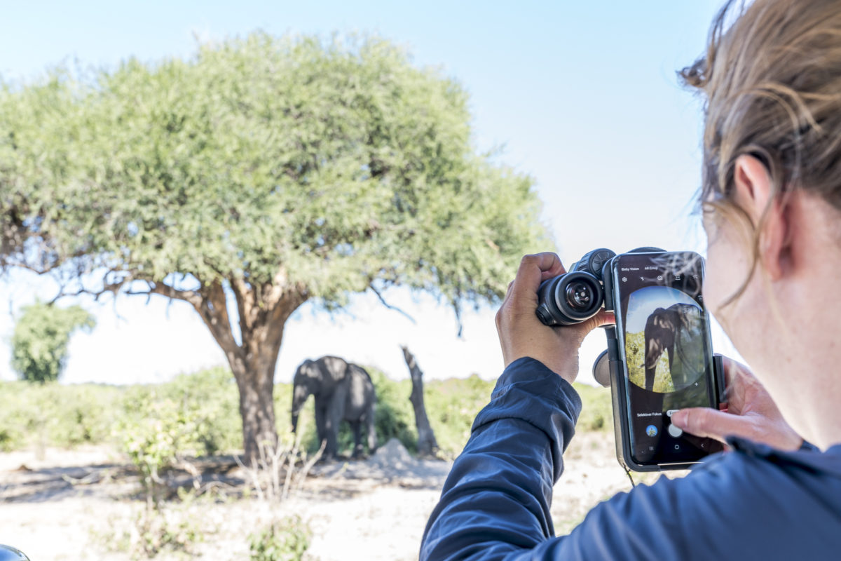 Swarovski Digiscoping