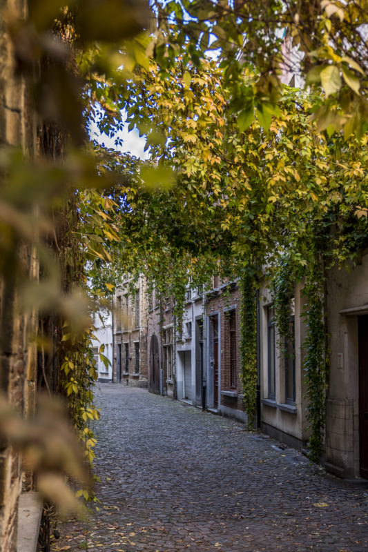 Altstadt Antwerp