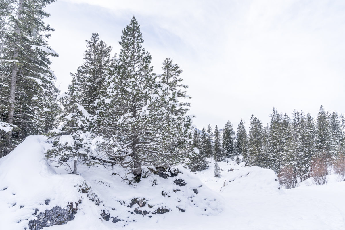 Winterlandschaft Oeschinensee