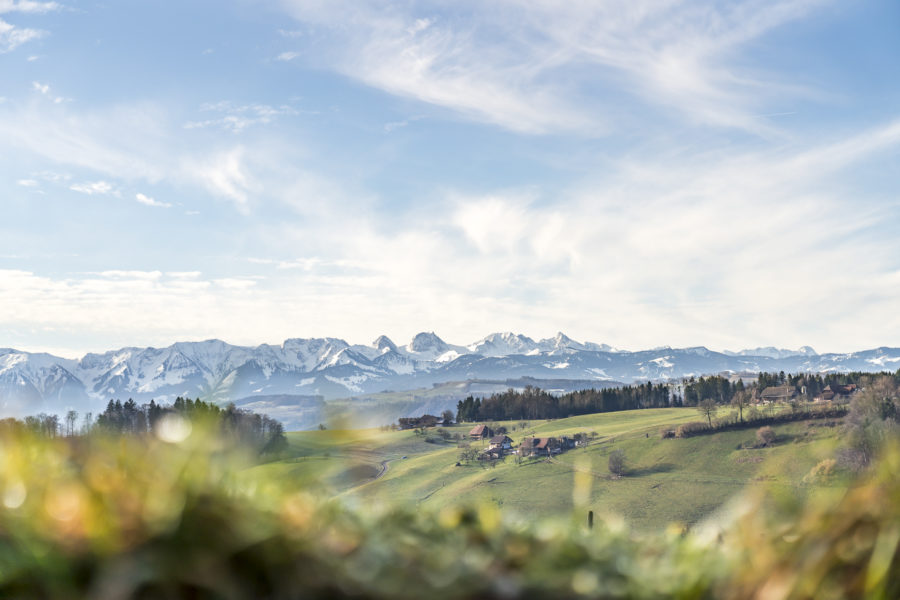 Trans Swiss Trail Emmental