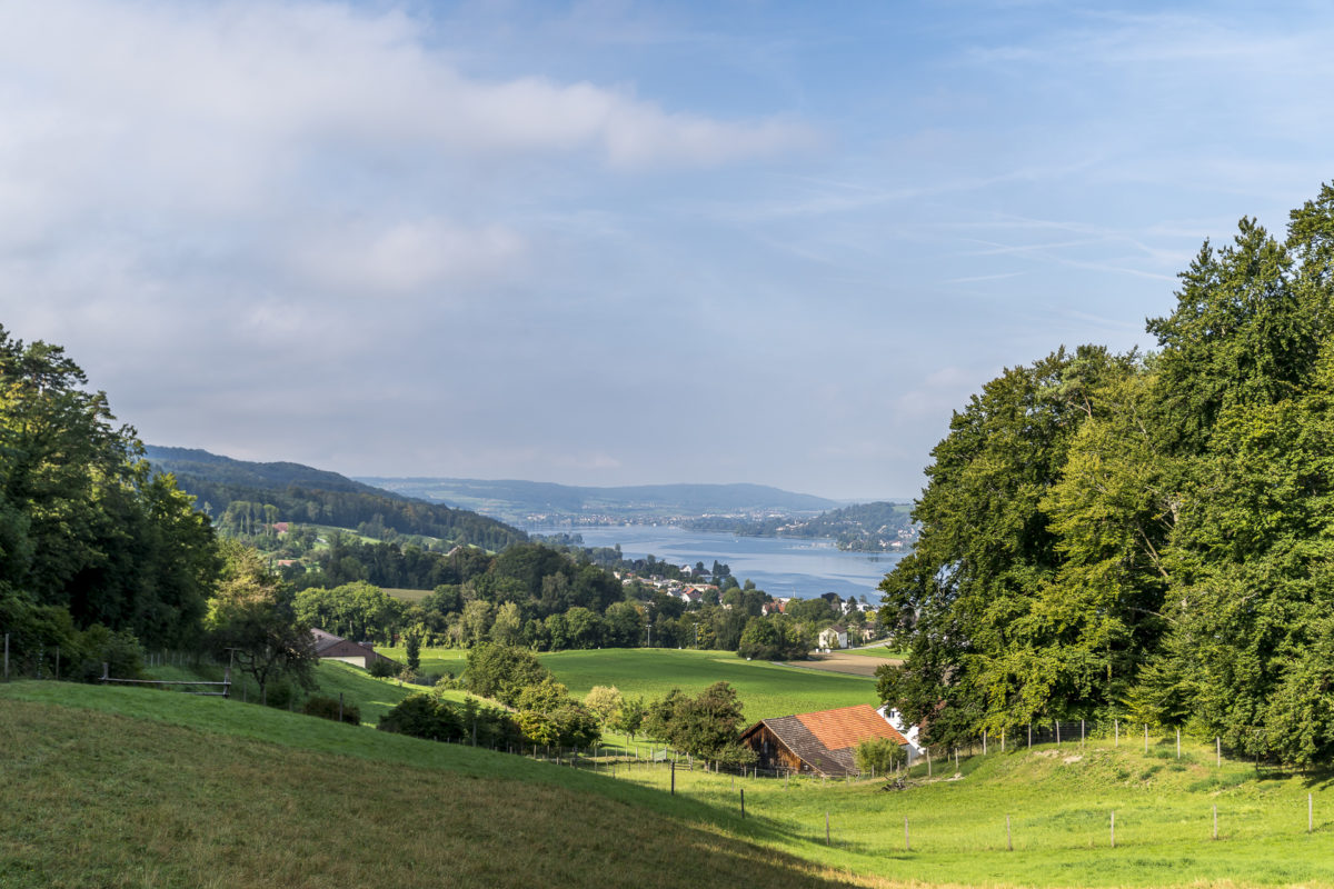 Blick auf Steckborn