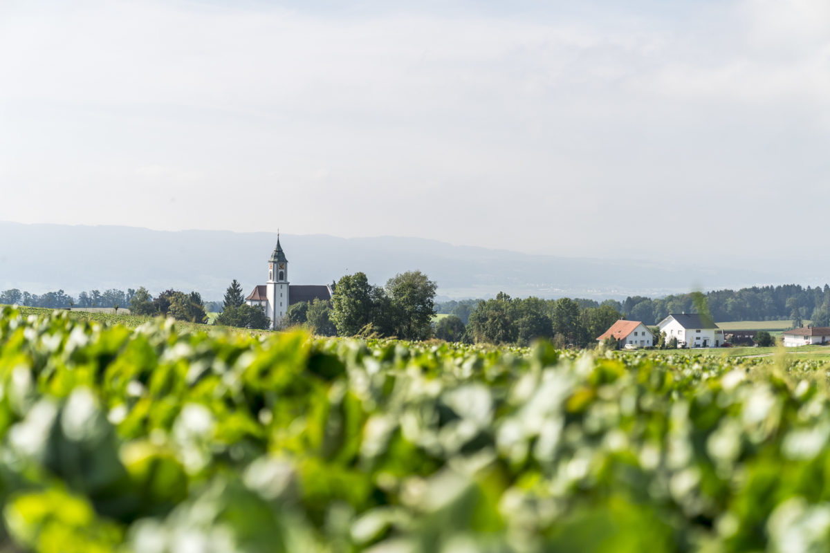 Thurgau Landschaft