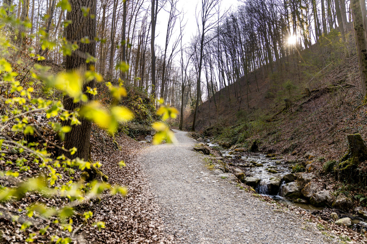 Geological hiking in Zurich