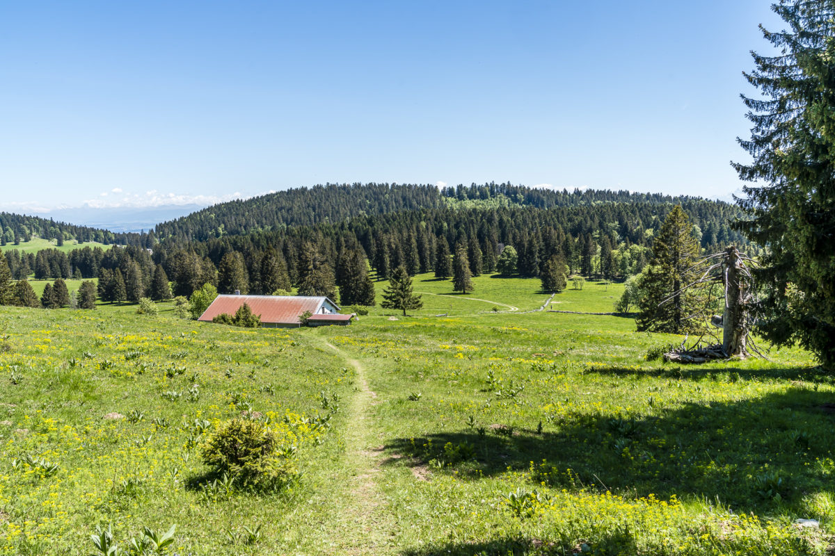 Landschaft Waadt Jura