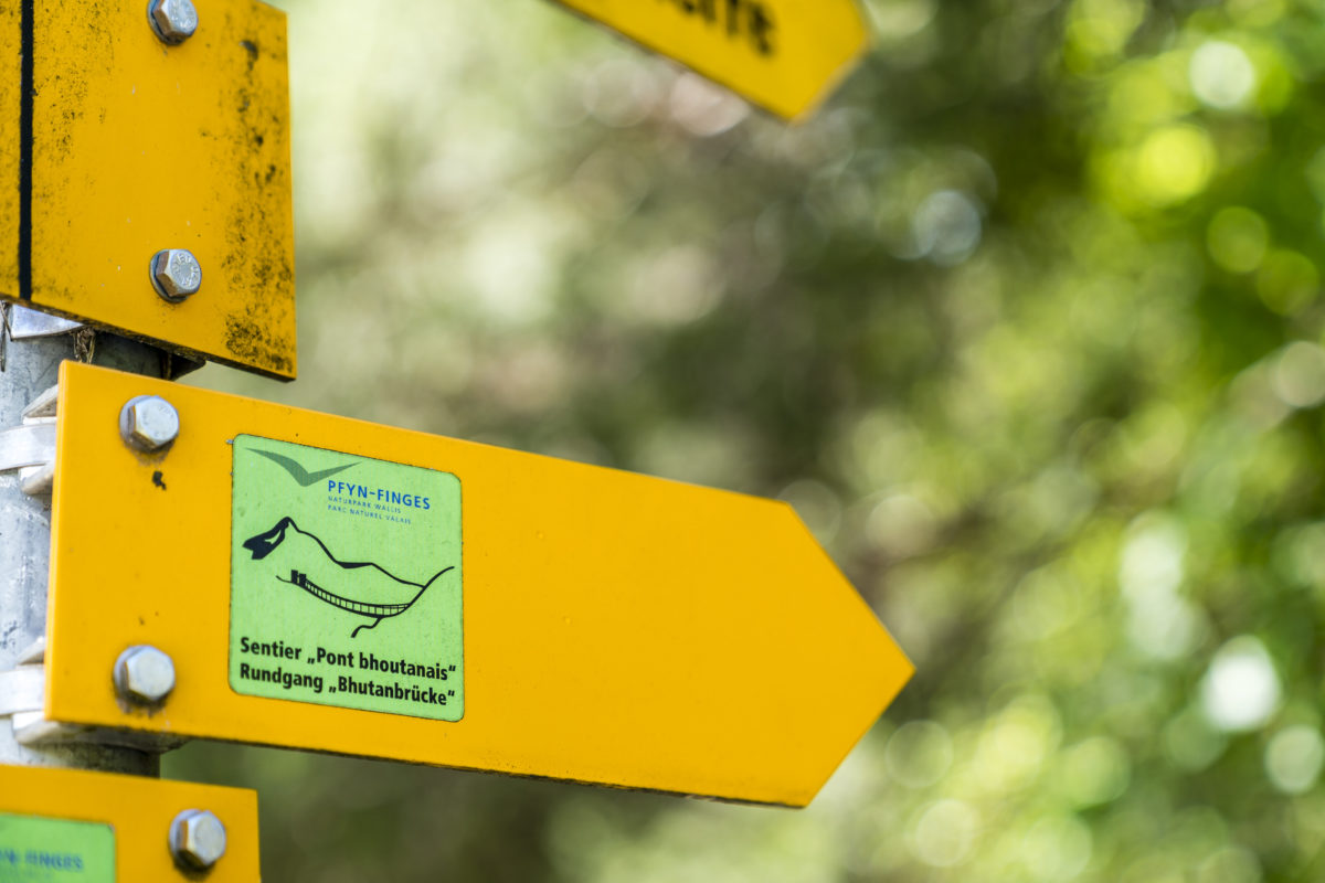 Wanderung Rundgang Bhutanbrücke