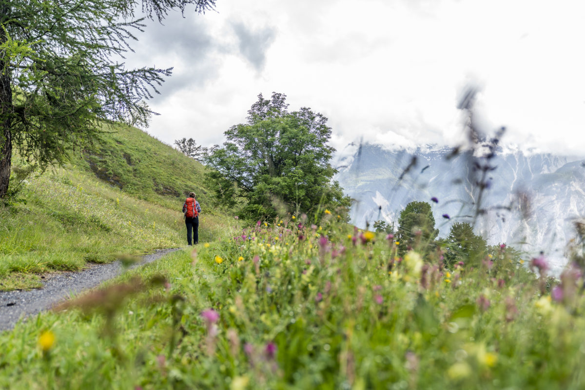 Walliser Sonnenweg