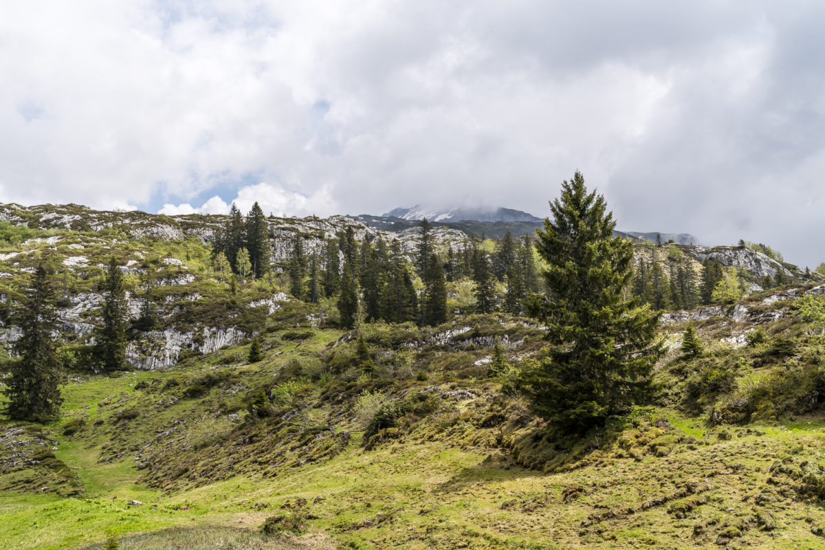 Karstfelsen Bödmeren