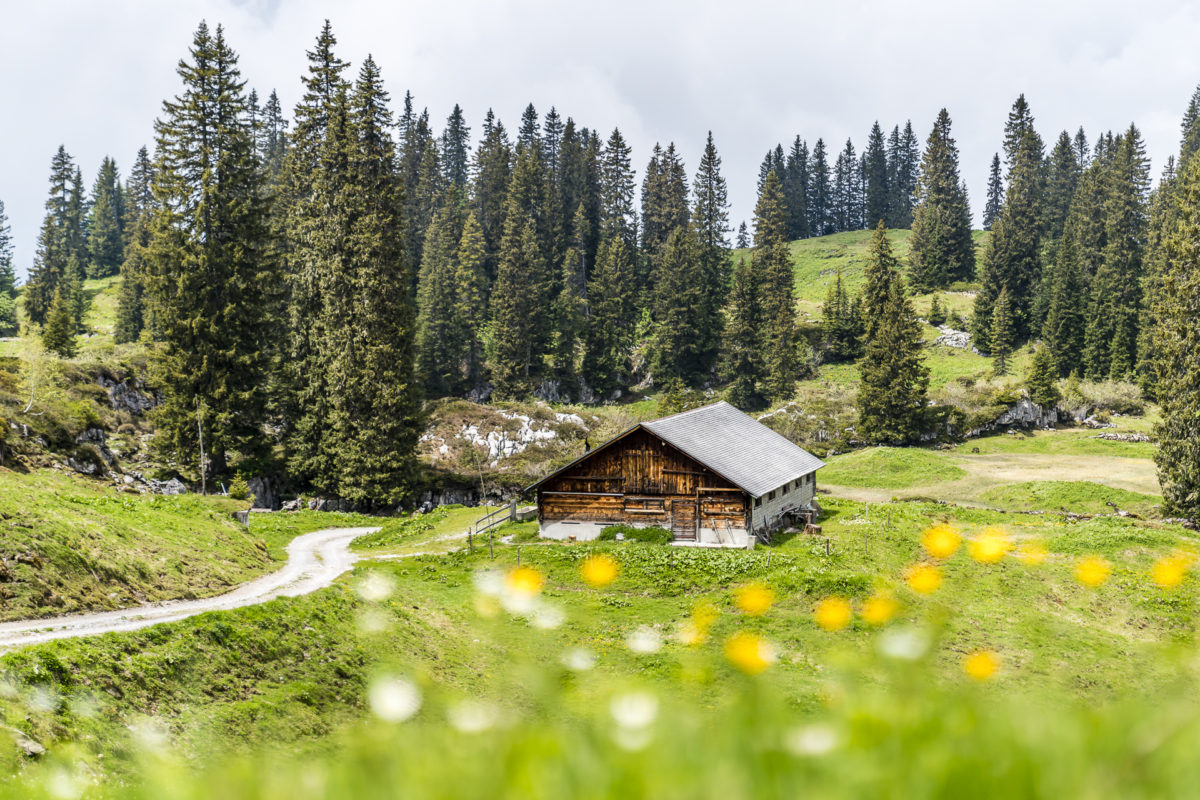 Muotathal Alpen Bödmeren