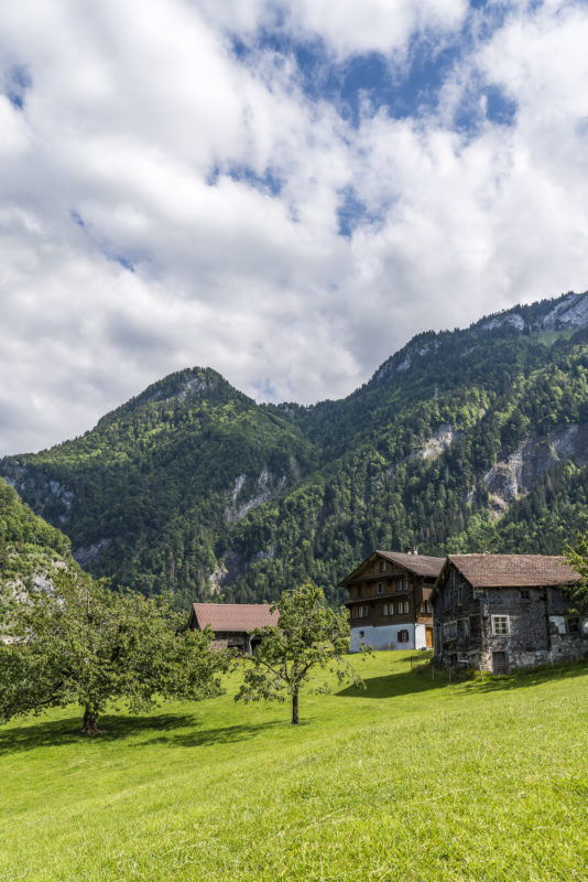 Muotathal Alp