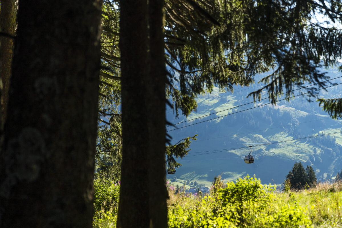 Wanderung Sörenberg Kemmeriboden-Bad