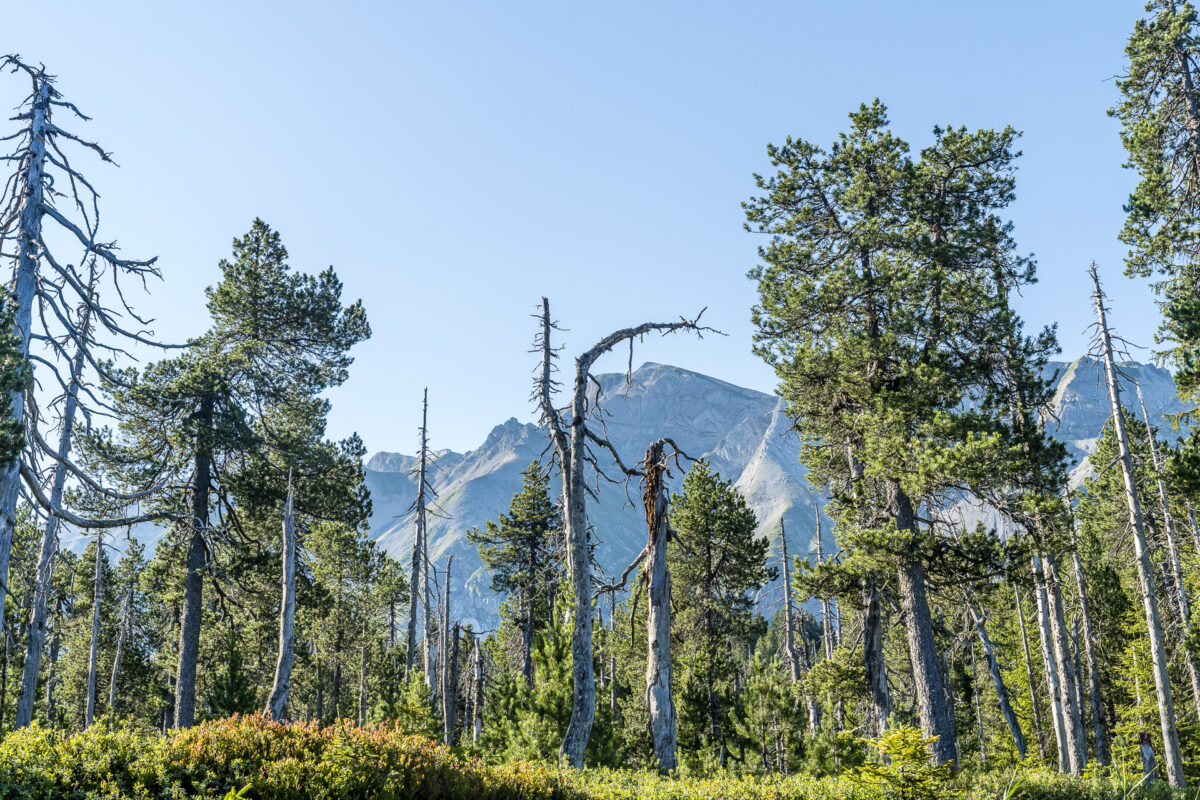 Moorlandschaft Entlebuch